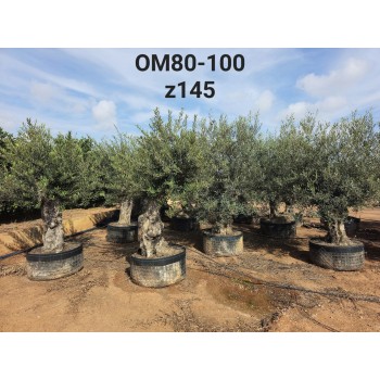 OM80-100 OM80-100